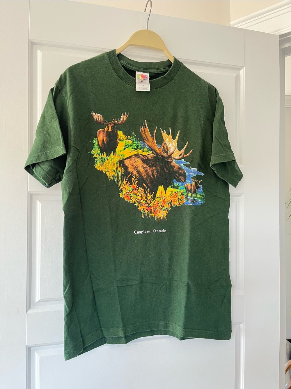 Fruit of the Loom Green Moose Graphic Short Sleeve Tee